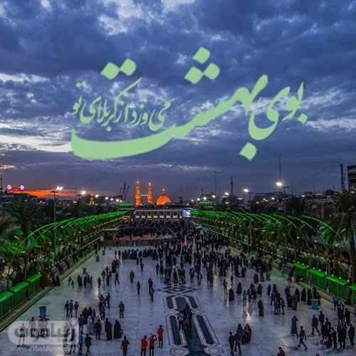 مجموعه طرح مناسبتی اربعین؛ دانه دانه ذکر تسبیحم فقط شد یا حسین