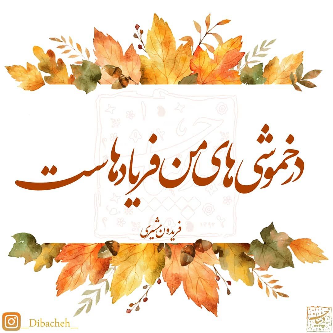 شاعرانه/"در خموشی های من فریاد هاست" از فریدون مشیری