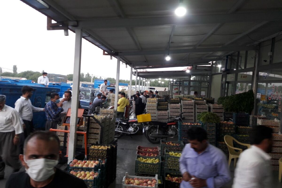 کهگیلویه و بویراحمد در حسرت میدان میوه و ترهبار