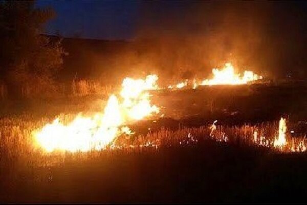 خطر آتش سوزی در مراتع و جنگل های چهارمحال و بختیاری وجود دارد