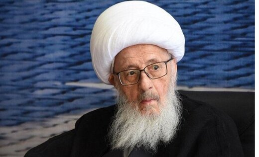 دلیل مخالفت آیتالله وحید خراسانی با دسته عزاداری شهادت امام حسن عسگری(ع) امسال
