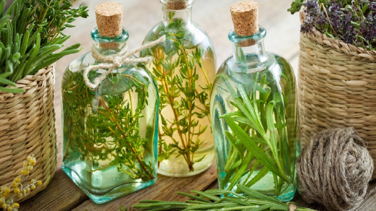خواص آویشن؛ گیاه سحرآمیزی که بقراط بر مصرف آن تاکید داشت