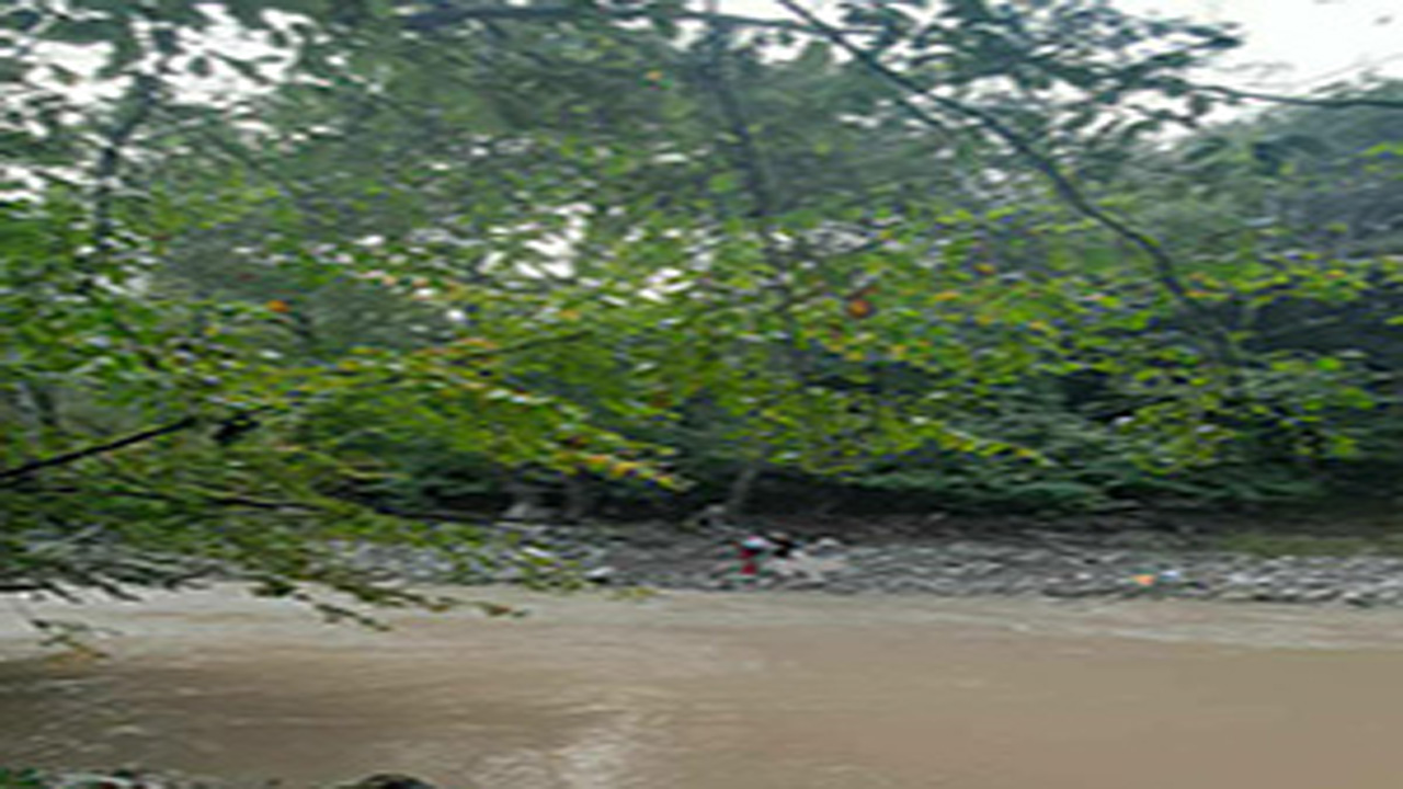 نجات 2 فرد گرفتار در طغیان رودخانه تالار