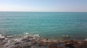 جو و دریای بوشهر در آرامش به سر میبرد
