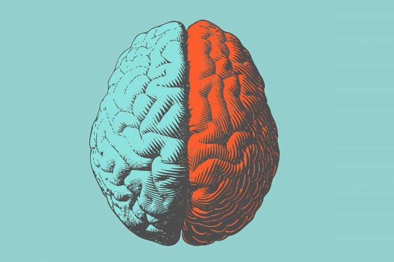 انعطاف‌پذیری شگفت‌انگیز مغز در افراد فاقد جسم پینه‌ای