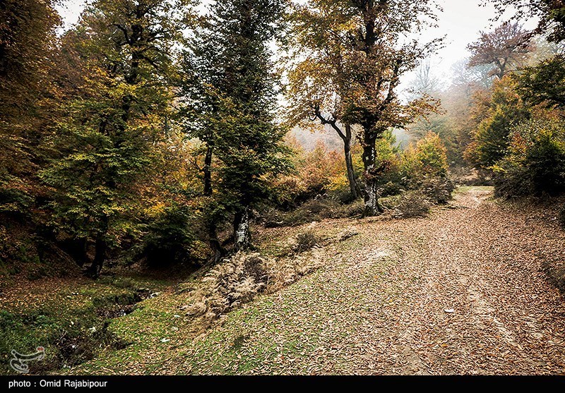 طبیعت رنگارنگ پاییزی روستای اشکورات گیلان