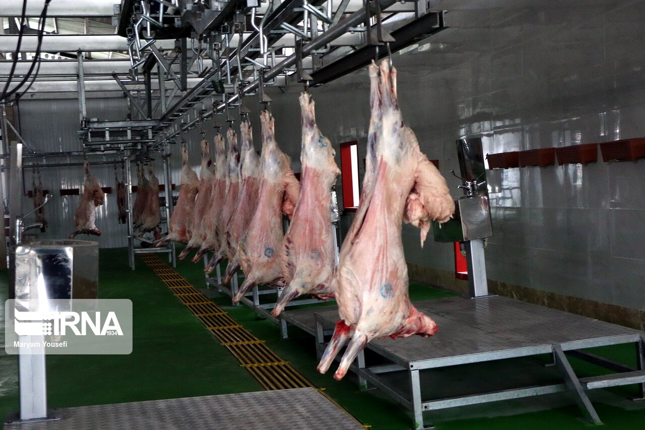 تولید گوشت قرمز در مهر ماه ۵۵ درصد رشد یافت