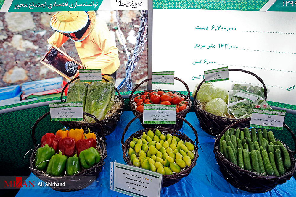 برگزاری شکرانه بهره برداری از ۱۵۰ هزار شغل ایجاد شده توسط ستاد اجرایی فرمان امام 