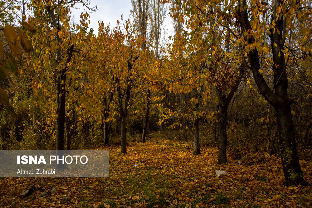 پاییز دل انگیز در «روستای کهندان» قم