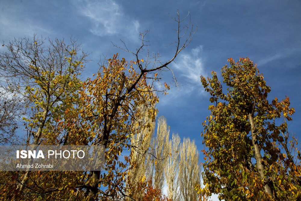 پاییز دل انگیز در «روستای کهندان» قم