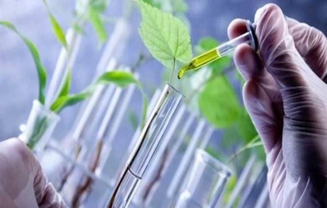 ادرار انسان کودی مقوی برای زمین های کشاورزی