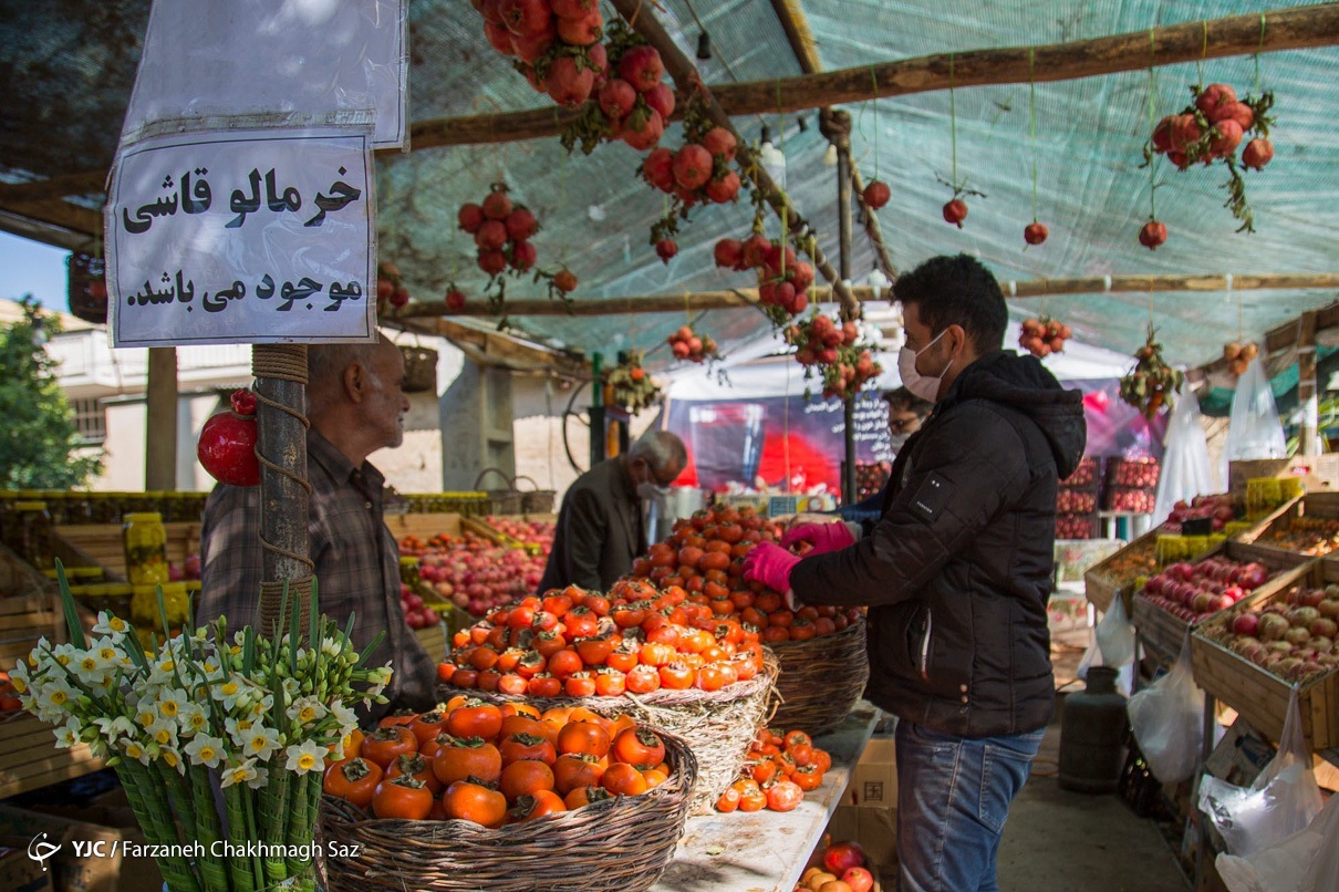 درختان خرمالوی کوچه باغ‌های شیراز