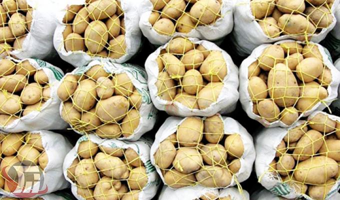 کشف 230تن سیب زمینی احتکار شده در دالاهو