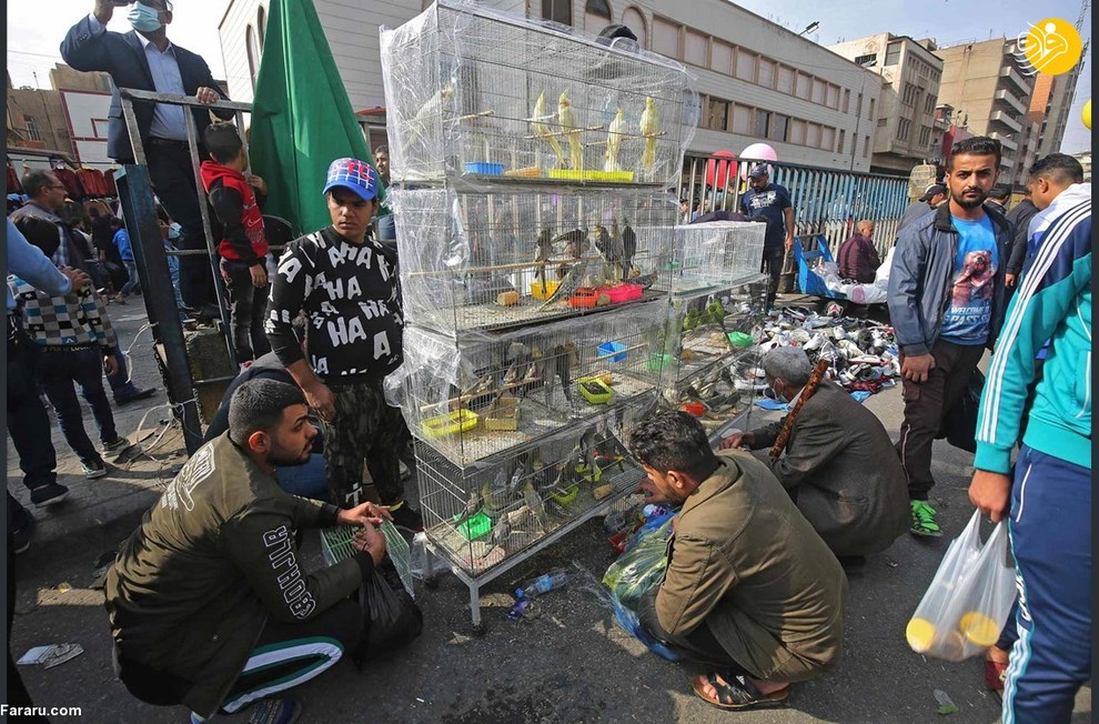 عکس/ جمعه بازار پرندگان در بغداد