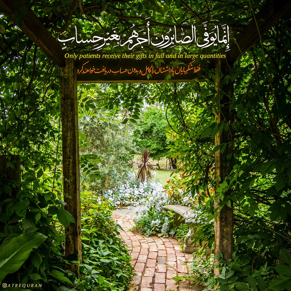طرح/ پاداش کامل و بدون حساب
