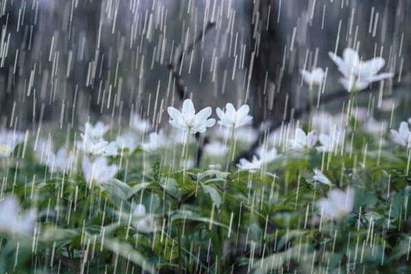 شهرستان آبدانان رکورددار بارش‌های ۲۴ ساعت گذشته در ایلام