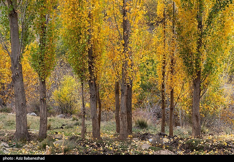 رنگ آمیزی زیبای خزان در  «الشترِ» لرستان