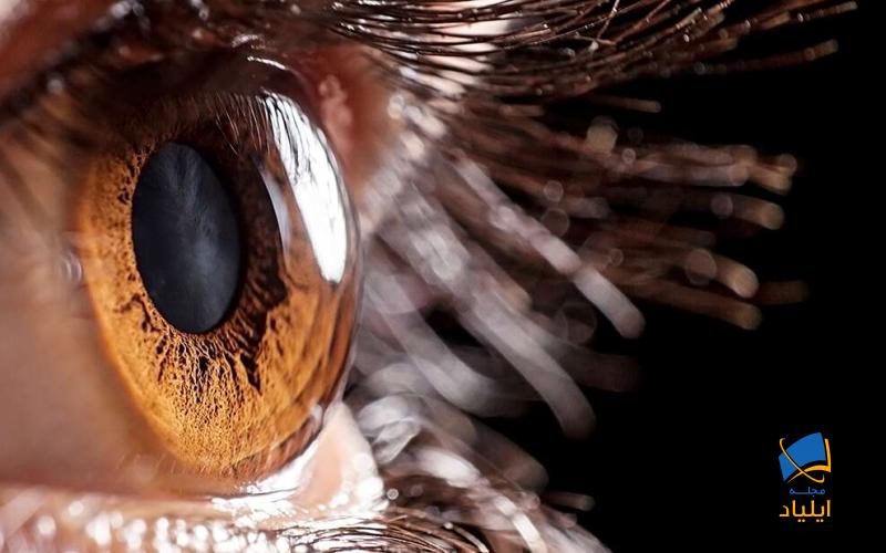 آیا ویروس کرونا می‌تواند از طریق چشم وارد بدن شود؟