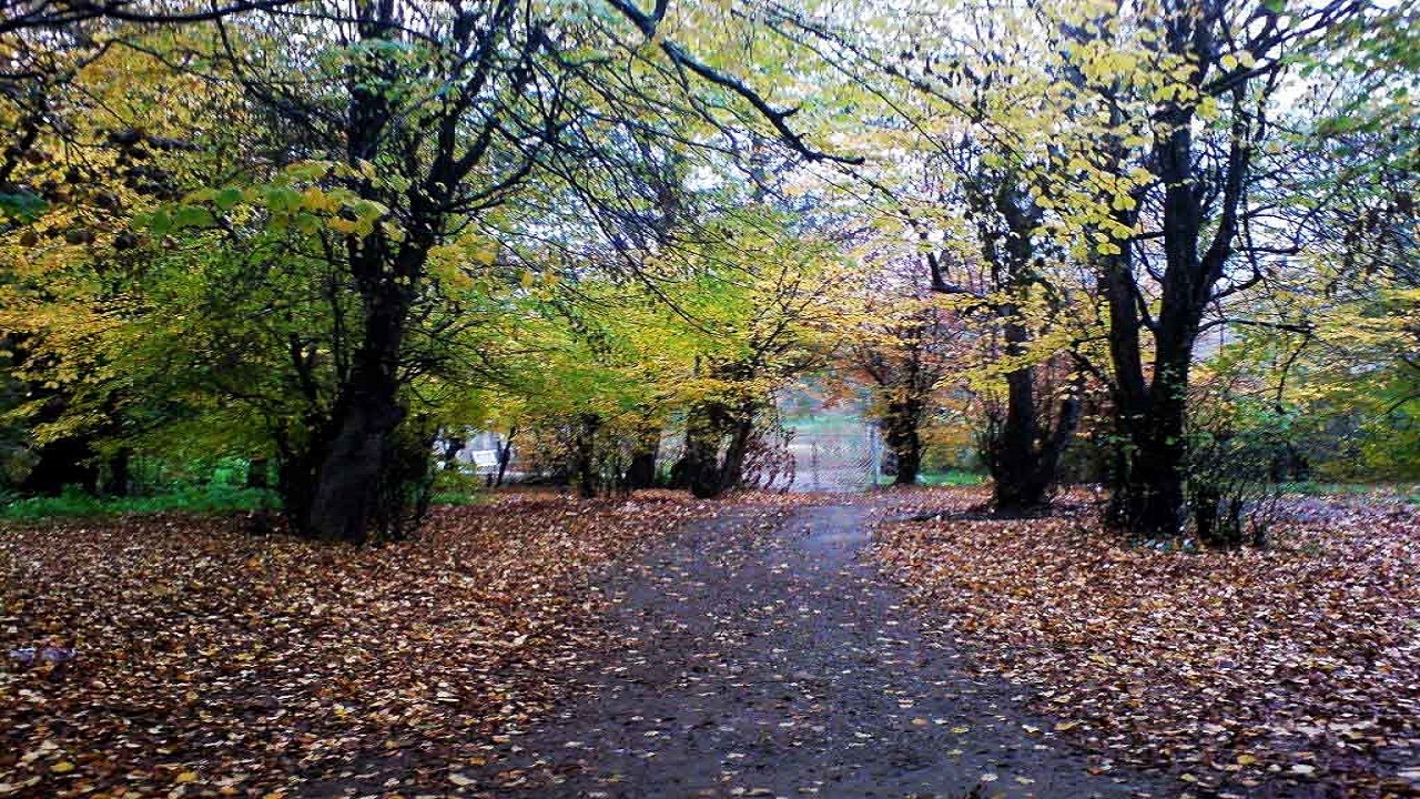 شناسایی ۲۰ بیمار جدید مبتلا به کرونا در چهارمحال و بختیاری