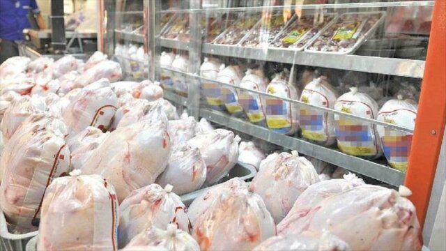 ۱۶۰۰ تن مرغ منجمد در تهران توزیع میشود