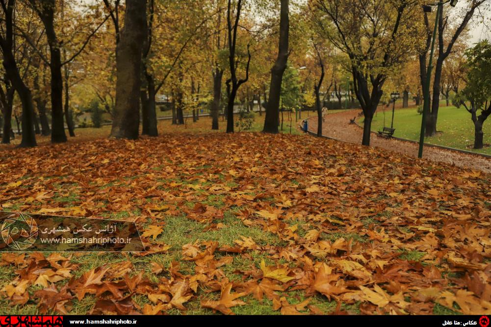 پاییز دل انگیز پارک ملت تهران