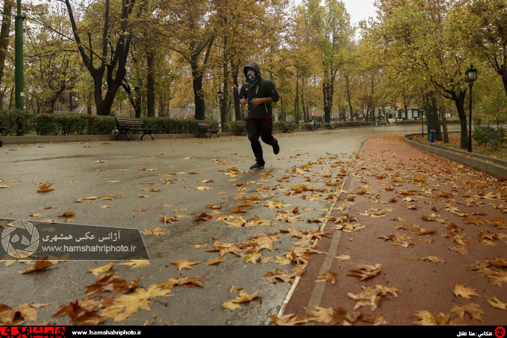 پاییز دل انگیز پارک ملت تهران