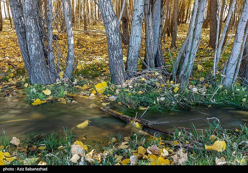 رنگ آمیزی زیبای خزان در  «الشترِ» لرستان