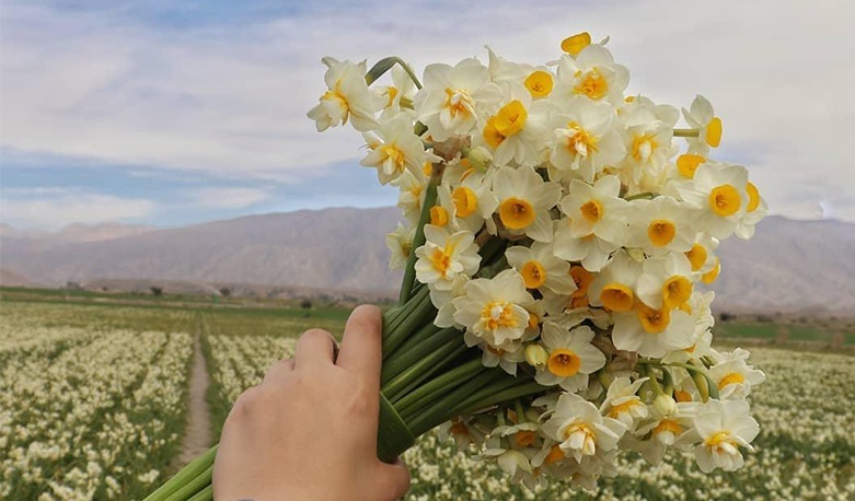داستانک/ نذر دخترک گل فروش