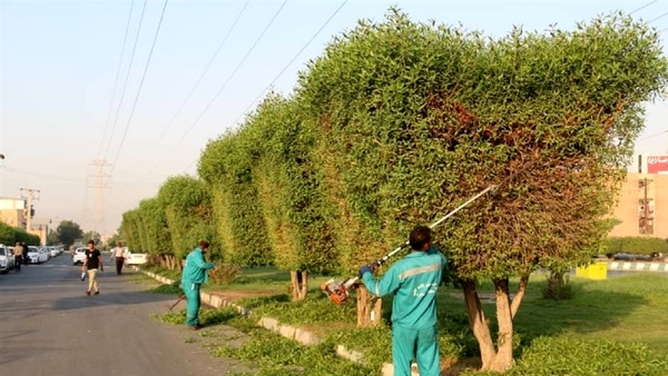 سرقت دستگاه‌های هرس کارگران شهرداری آبادان با تهدید اسلحه