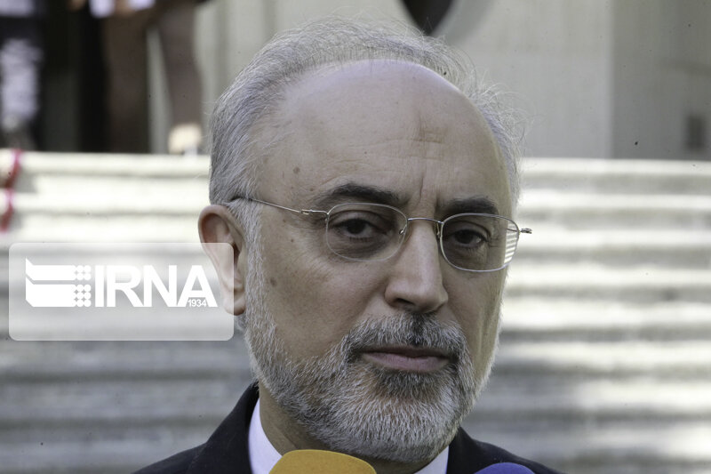 صالحی: شهید فخری زاده زیرساختهای پدافند هستهای را به نحو احسن ایجاد کرد