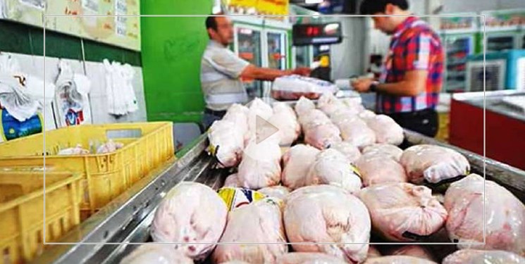 قیمت مرغ در استان بوشهر به 20 هزار تومان کاهش می‌یابد