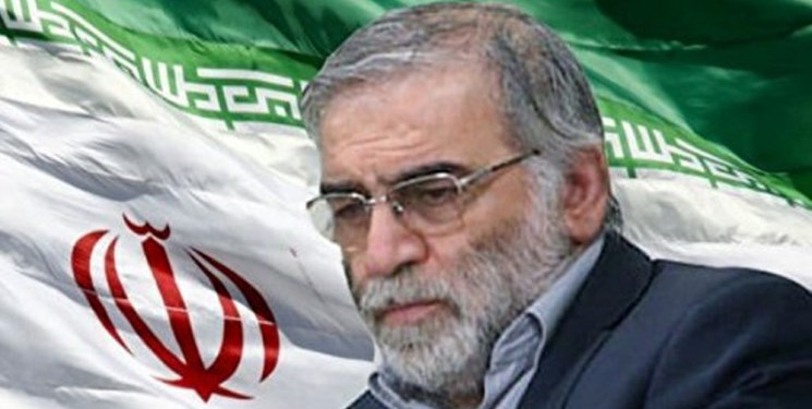 واکنش ۲ فرمانده نظامی پیشین آمریکا به ترور شهید فخری زاده
