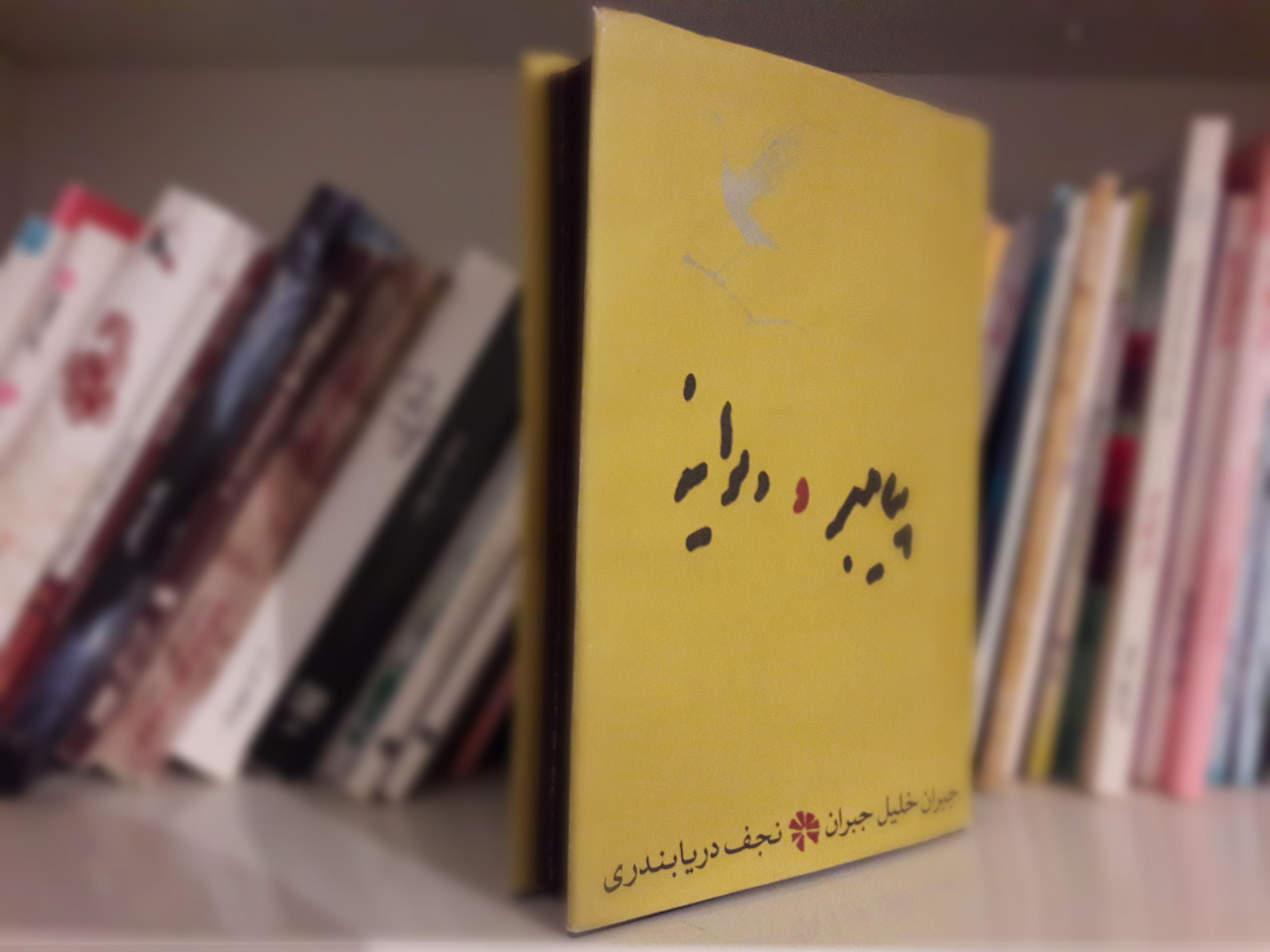 بخشی از کتاب/ با دستِ این کسان است که خداوند سخن می‌گوید