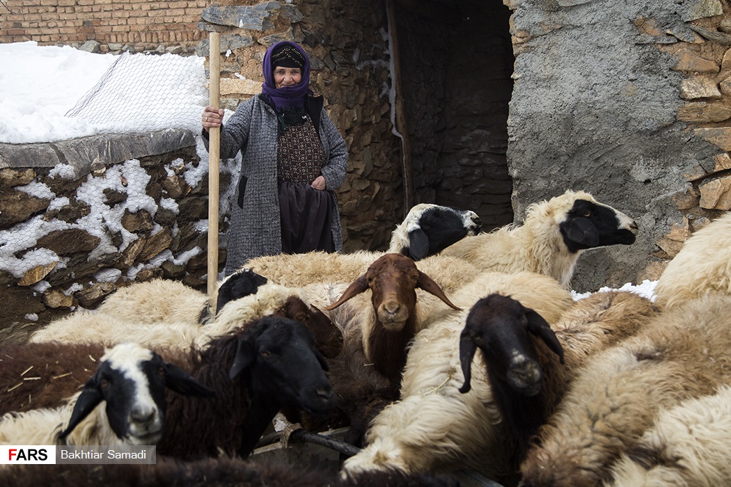 یک روز برفی در روستای (مودی) کردستان
