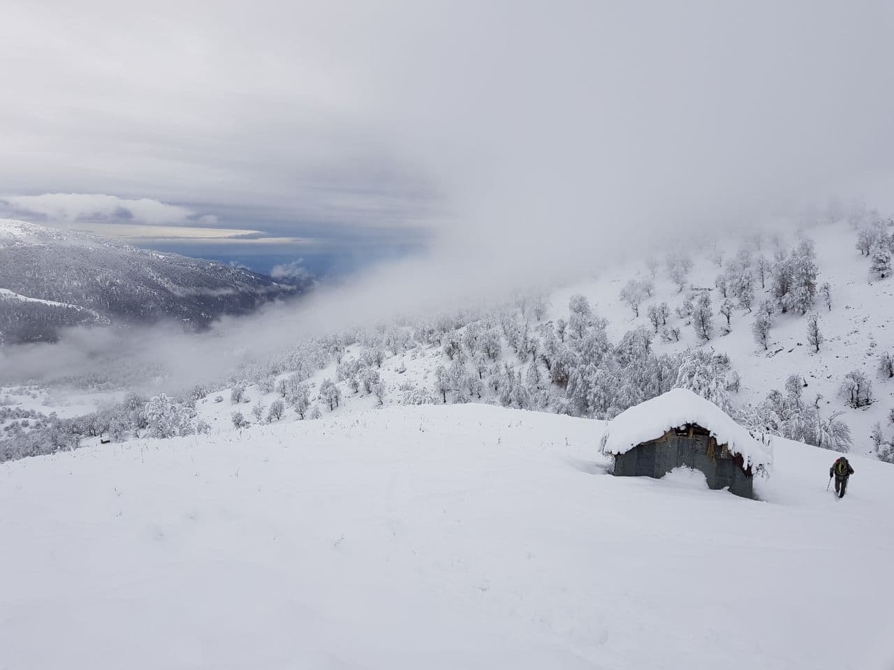 طبیعت زیبای برفی ماسوله