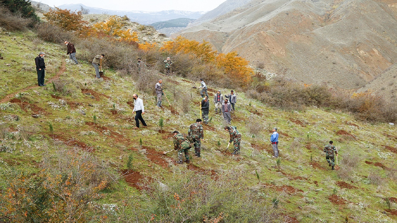 ۳۰۰ هکتار از عرصه‌های غرب مازندران جنگل کاری می‌شود