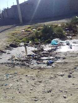 عکس/ بهداشت نامناسب معابر در روستای دهمیر 