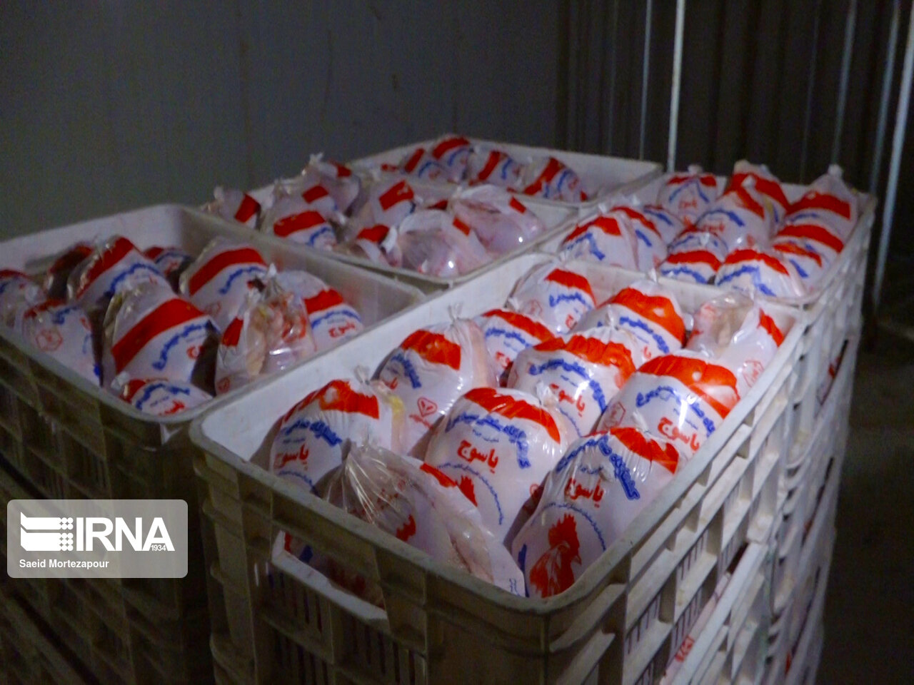 آغاز توزیع ۲۰ تُن مرغ با قیمت دولتی در قشم