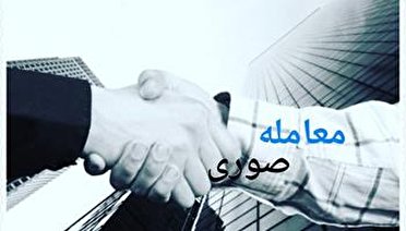 دستگیری عاملان معاملات صوری در زنجان