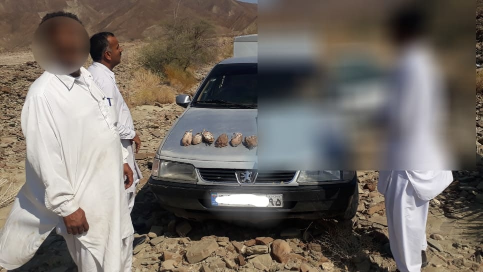 دستگیری شکارچی در جنوب سیستان‌وبلوچستان