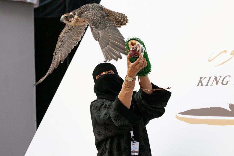 پرنده شکاری بر روی دستان زن عربستانی