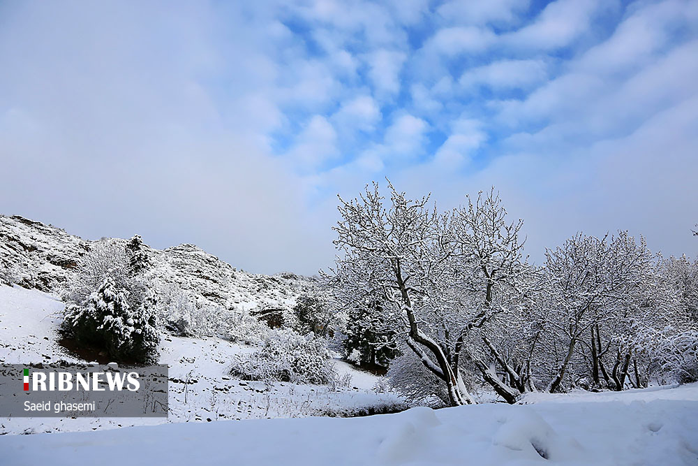بارش سنگین برف در ارسباران 