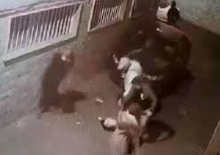 جزئیات حمله سارقان زورگیر به ۲ زن تهرانی