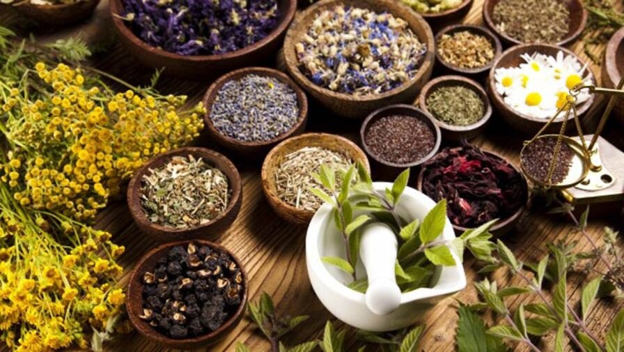 ۶ گیاه دارویی که میتوانید در آپارتمان پرورش دهید