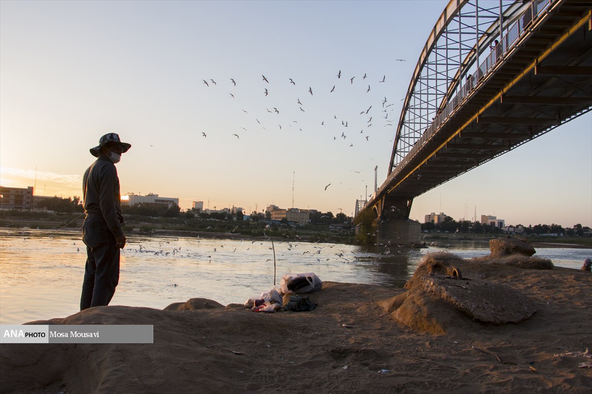 عکس/ پل سفید؛ میزبان پرندگان مهاجر‎