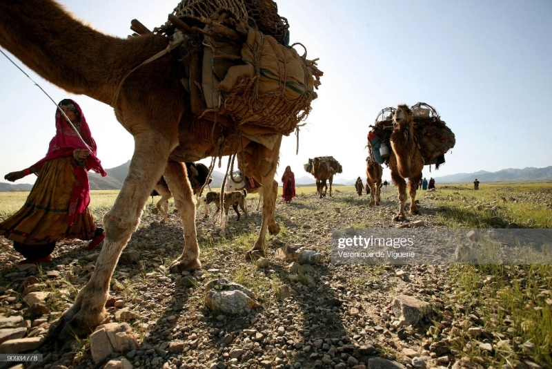 کوچ مردمان عشایر افغانستانی