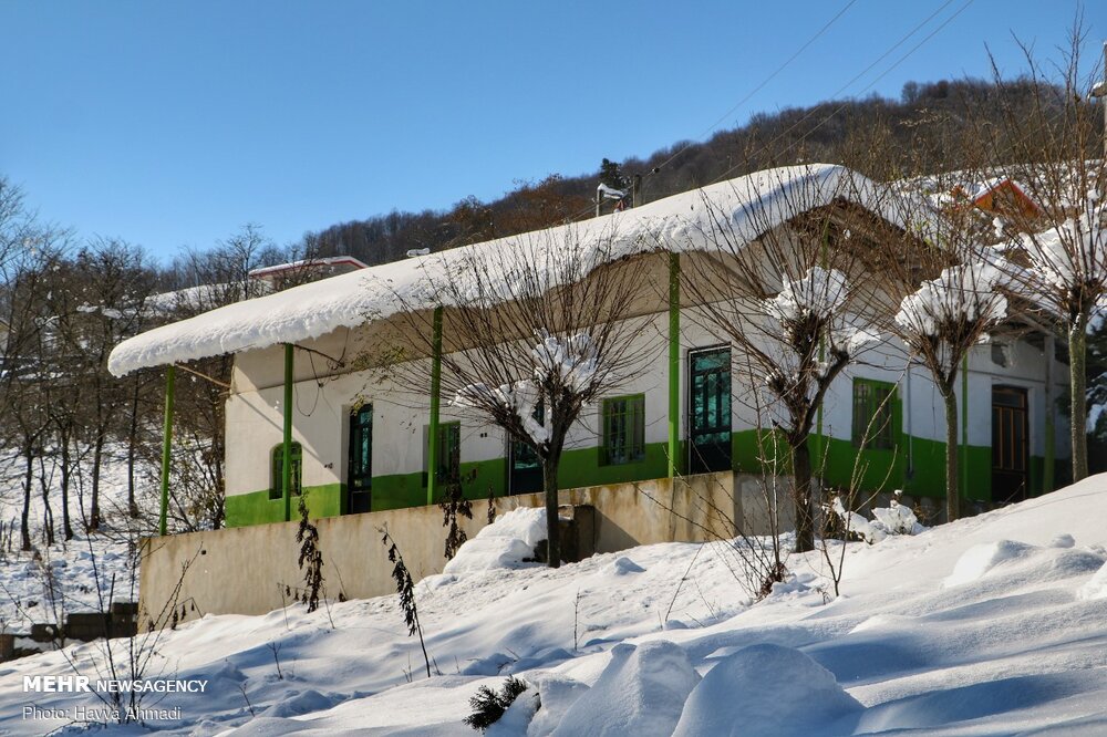 عکس/ یک روز برفی در « بهمنان»