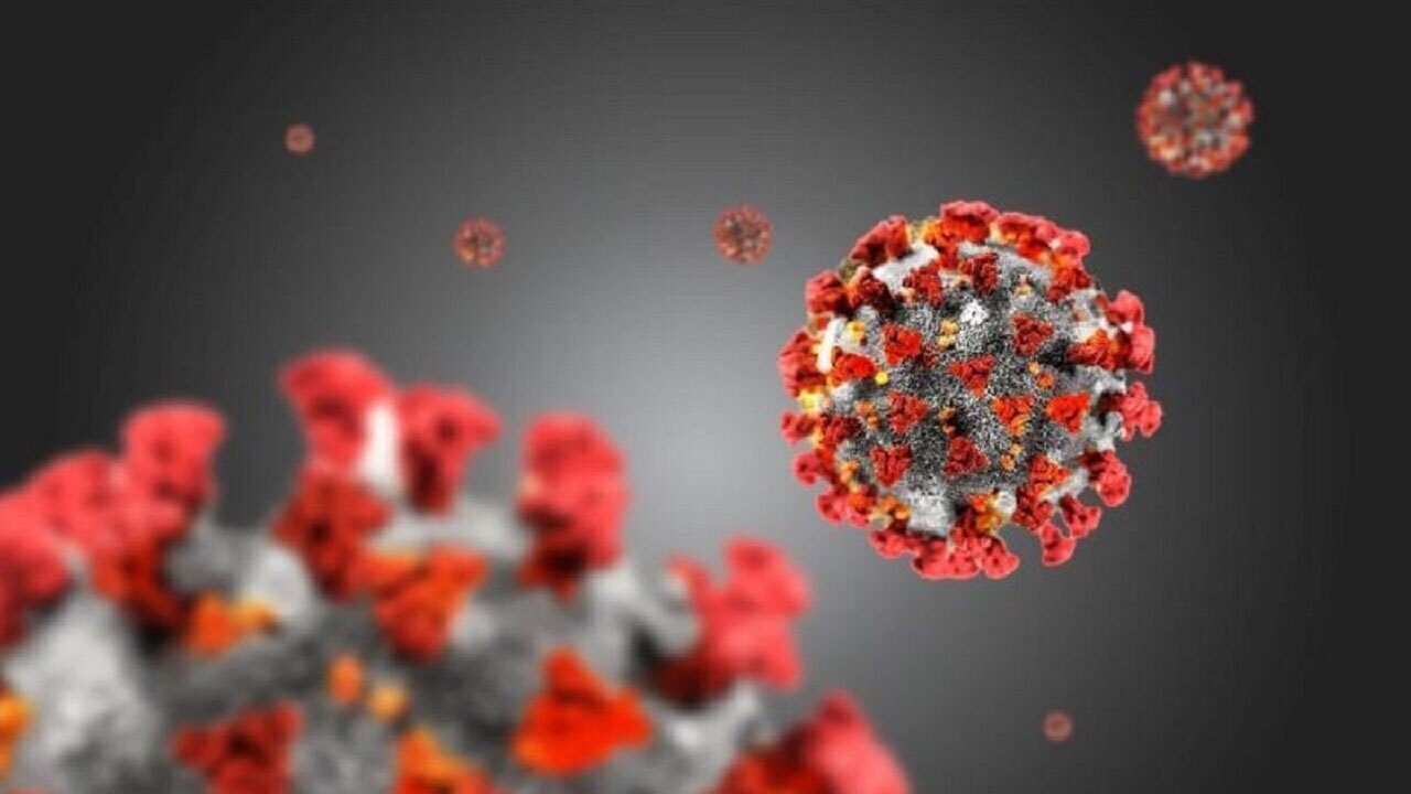 جدیدترین آمار کرونایی‌ها در هرمزگان