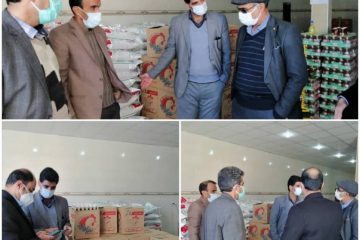اخبار جدید از بازار تخم‌مرغ در کرمان؛ تا ۱۰ روز آینده تعادل بازمی‌گردد