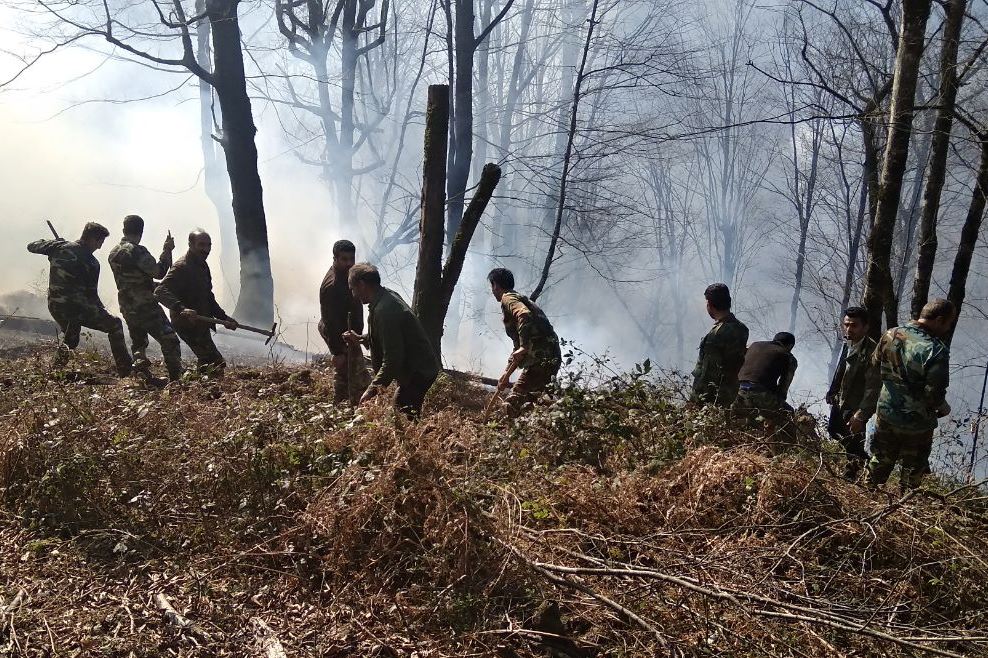 وقوع ۲۱ مورد آتش ‌سوزی در عرصه ‌های جنگلی مازندران